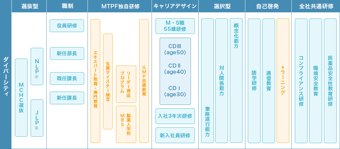 研修の全体像