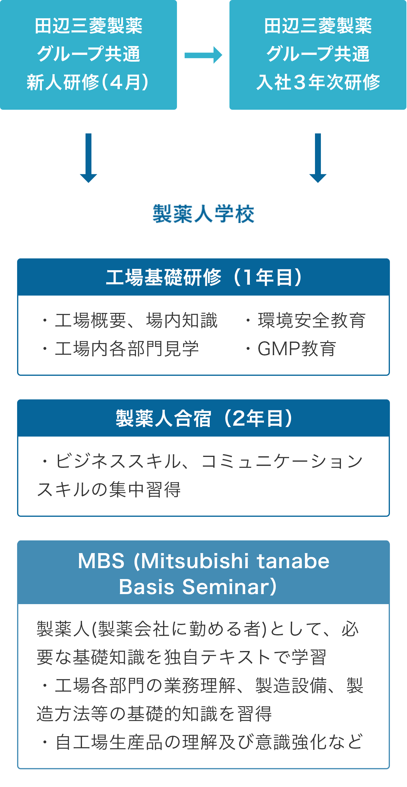 入社後3年間の主要な研修